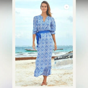 Aspiga Marina Blue Maeve Tea dress size XS in excellent condition